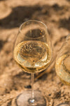 Eisch Champagneglas